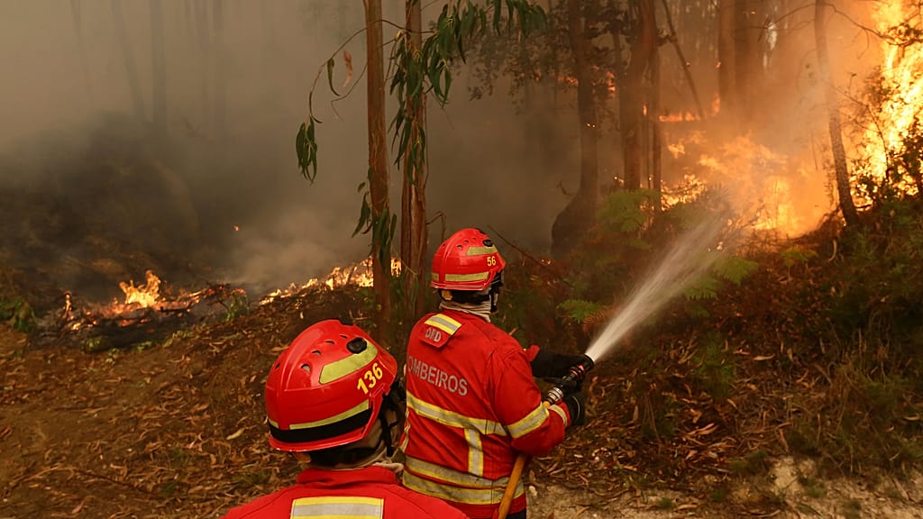 Spanish and Italian resources arrive in Portugal to help fight wildfires
