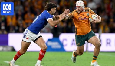 Wallabies coach Joe Schmidt gambles with selections in Test farewell against Italy in Perth