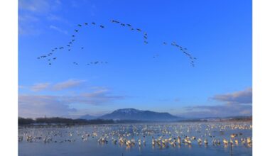Visit Japan: Niigata and its Historical Wetland Heritage Recognized by Ramsar Convention