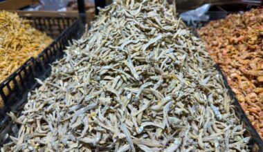The world has an anchovy problem