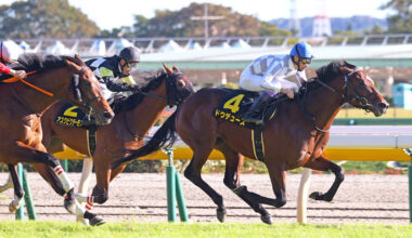 U.S.-Conceived American Pharoah Filly Has Japanese Appeal