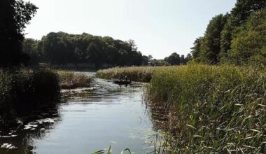 Saulėtą savaitgalį šiluma nedžiugins: kasdien bus vis vėsiau - Delfi