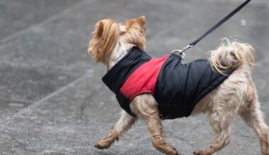 Laukia rudeniški orai: sekmadienį didės debesuotumas, gali palyti - Delfi