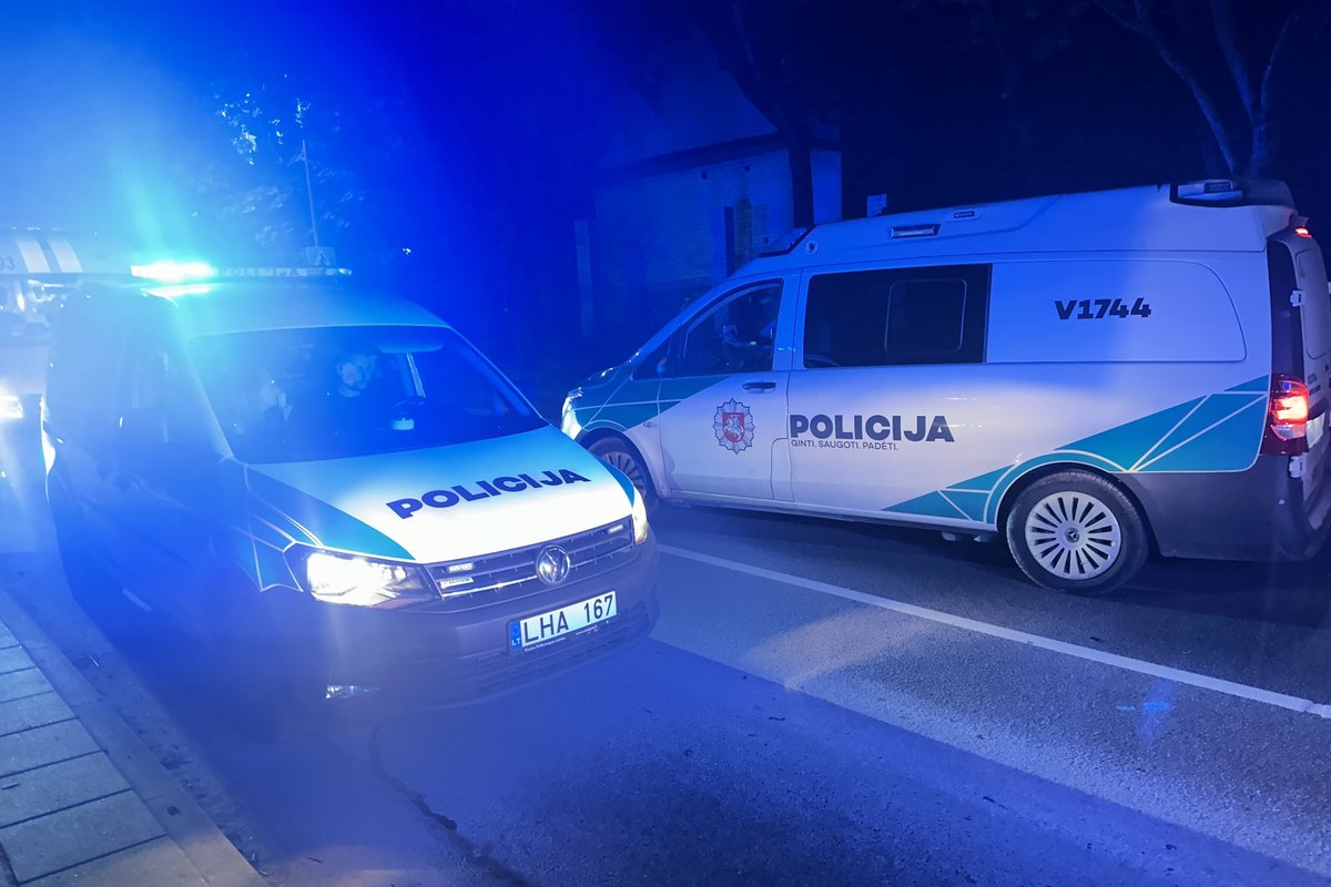 Panevėžyje neblaivi moteris policijos automobilį apmėtė akmenimis