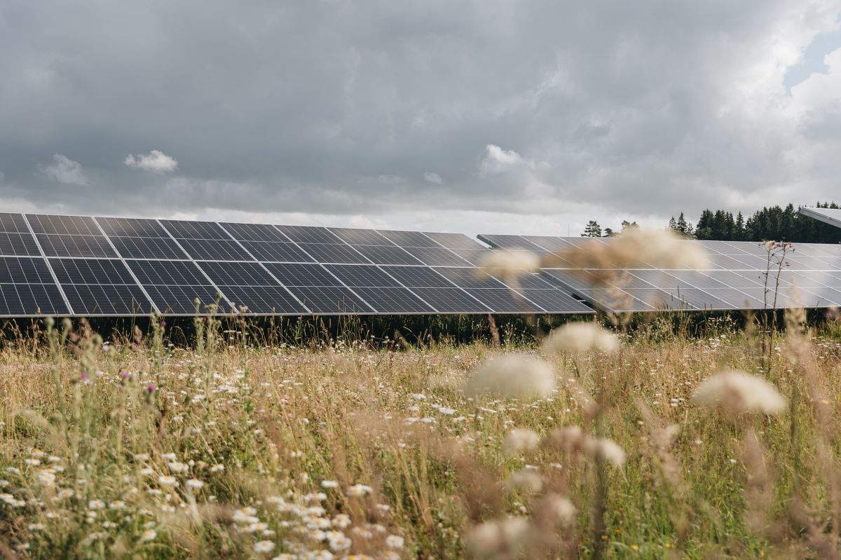 Pradėjo veikti 145 MW galios Stelpės saulės parkas Latvijoje
