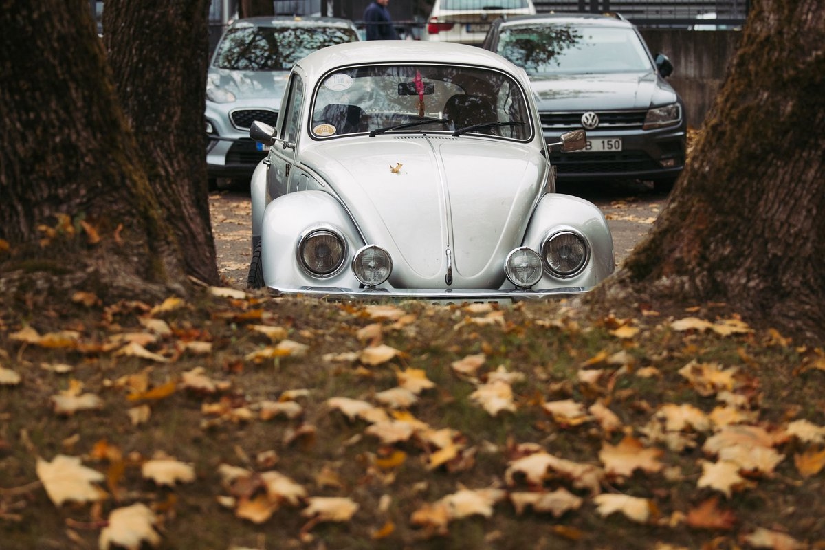 Lietaus bus nedaug, bet saulės mažai