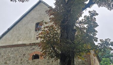 Ruošiasi atgaivinti įspūdingą dvarą Lietuvoje
