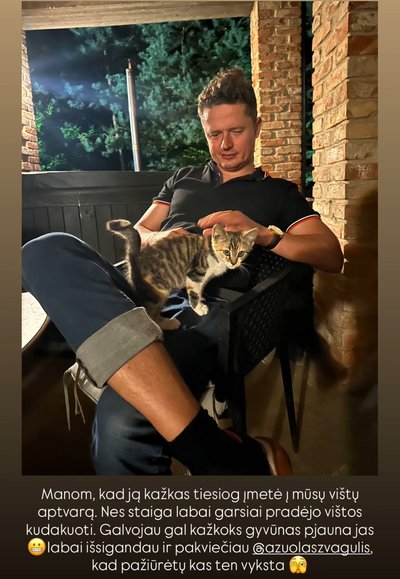 Pas Inetą ir Ąžuolą Žvagulius priklydusi katytė