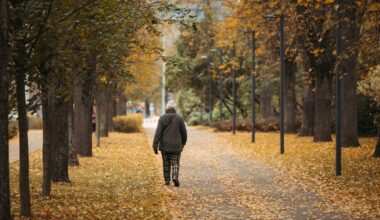 Bobų vasaros prognozė: kada sugrįš šiluma?