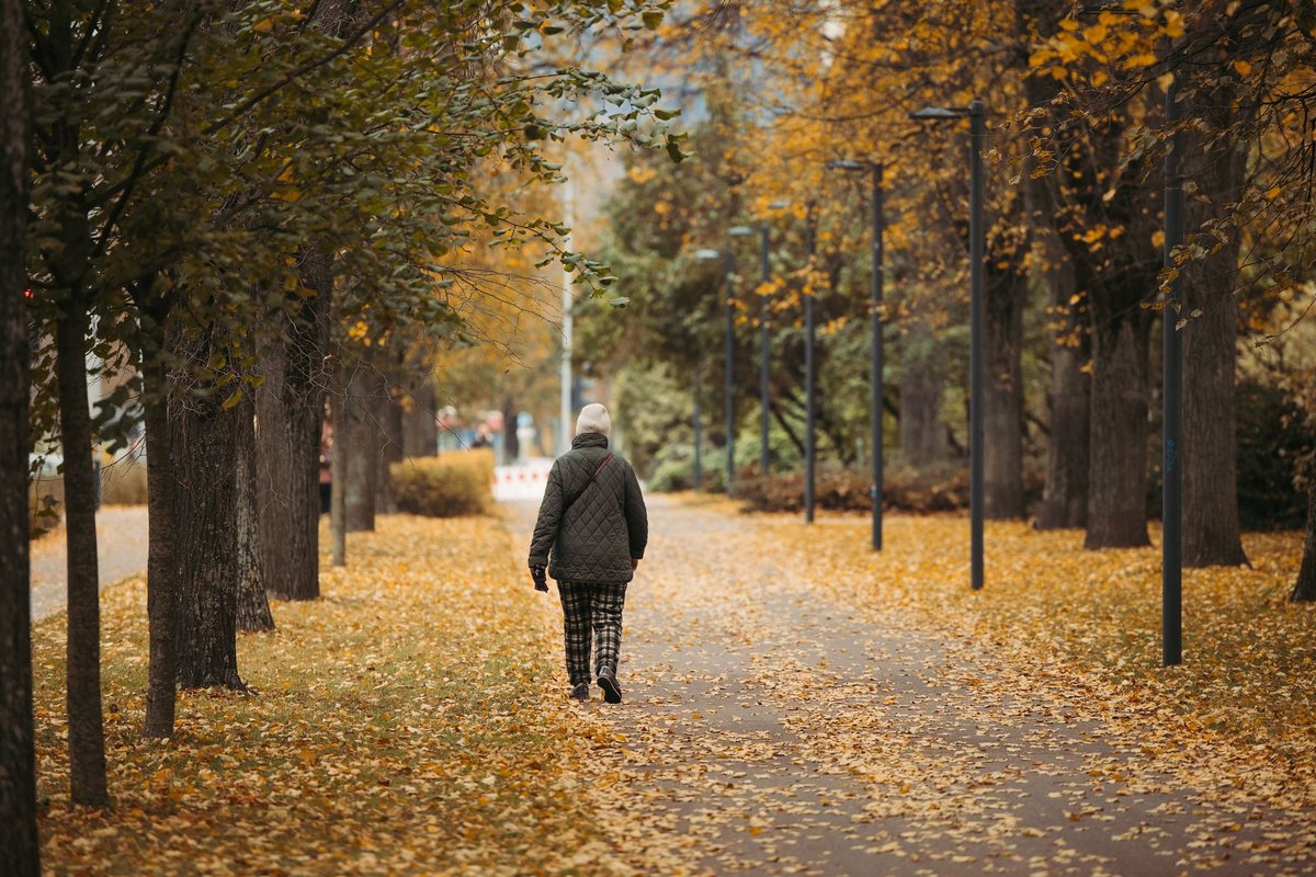 Bobų vasaros prognozė: kada sugrįš šiluma?