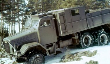 Šimtmetis tarnyboje: nematomas Europos saugumo draugas su ryškia istorija