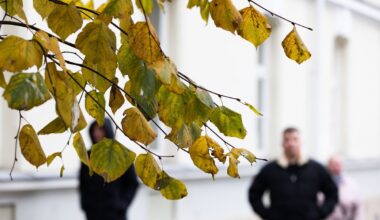 Po karšto sekmadienio savaitės pradžia nieko gero nežada