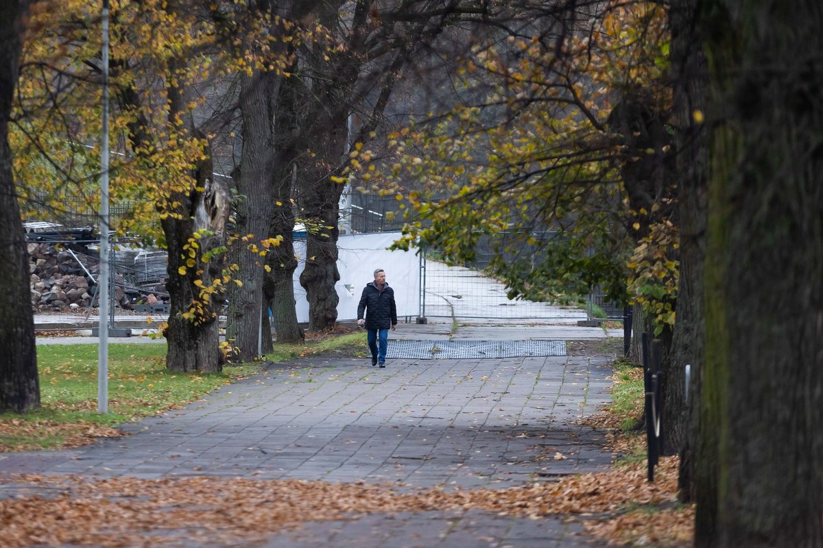 Sinoptikai malonių orų nebepranašauja – įsitvirtins vėsa - Delfi