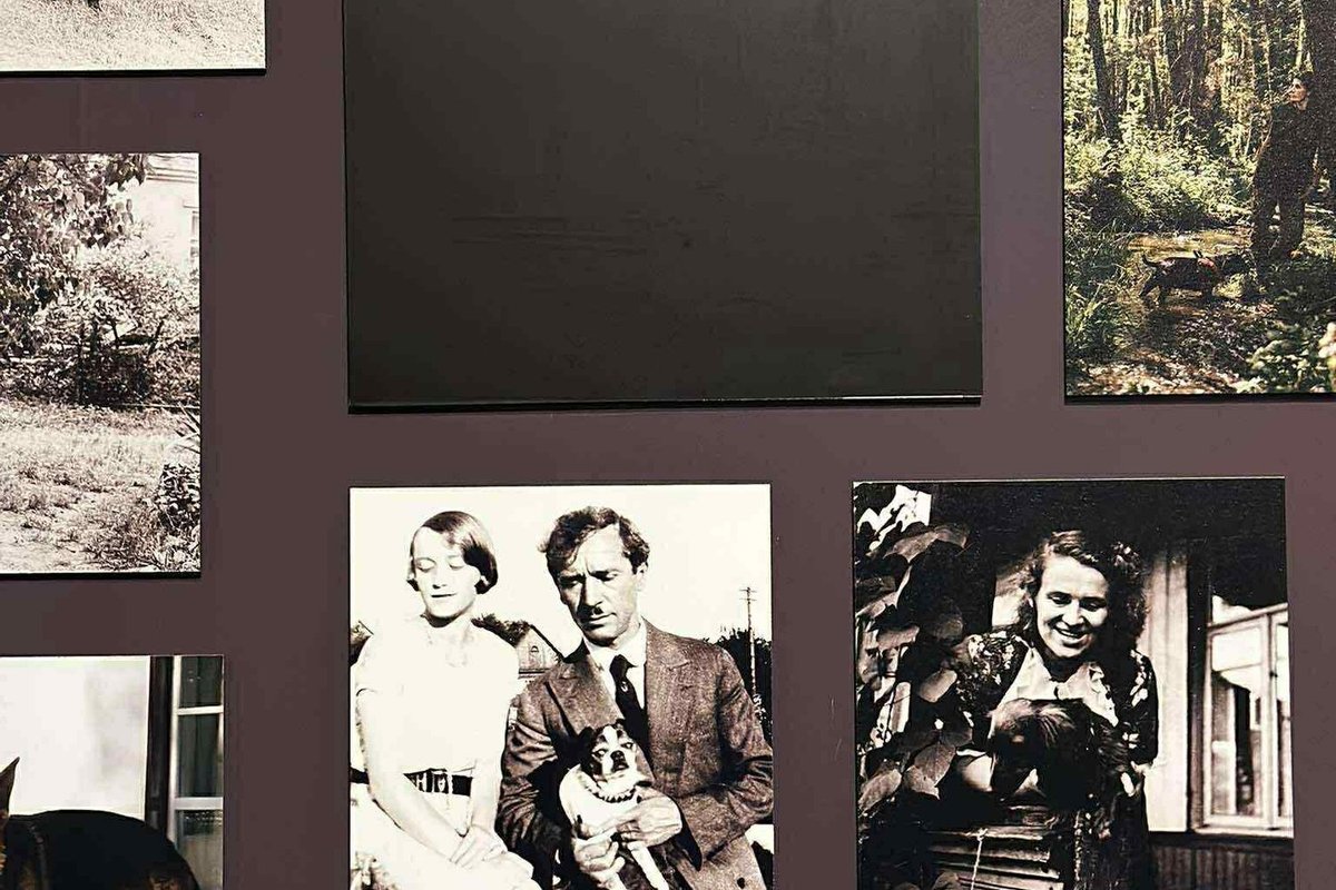 Parodoje „Istorijų namuose“ uždengta Nausėdos nuotrauka