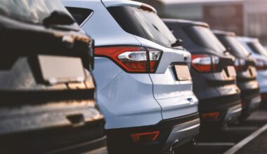 Tegyvuoja vidaus degimo varikliai: žlunga Europos Sąjungos planas uždrausti benzininius automobilius