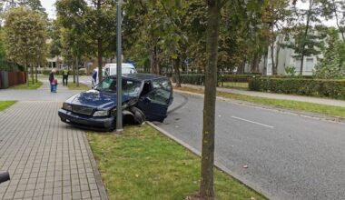 Kaune girtas vairuotojas rėžėsi į medį ir stulpą