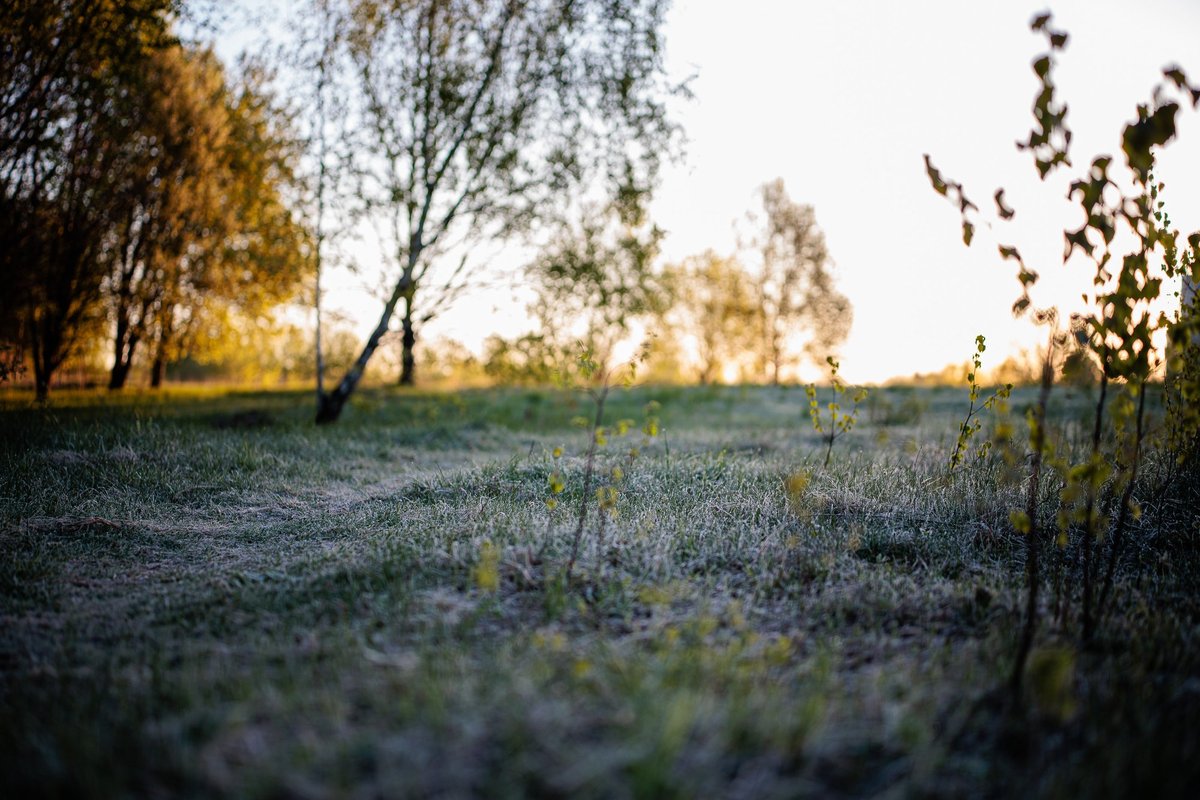 Į Lietuvą plūstels dar šaltesni orai: šalnų neišvengs nė vienas regionas