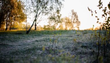Orų prognozė savaitei: staigiai atvės - Respublika.lt