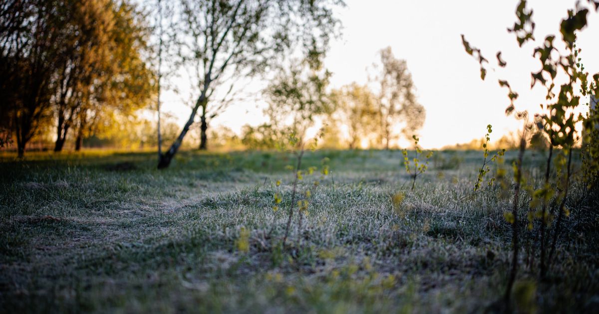 Orų prognozė savaitei: staigiai atvės - Respublika.lt