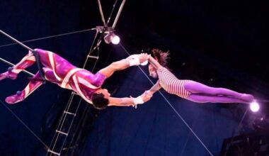 Vokietijoje per cirko pasirodymą žuvo artistė - Respublika.lt