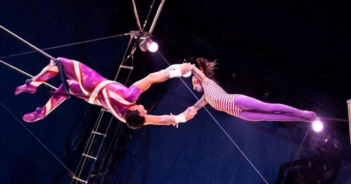 Vokietijoje per cirko pasirodymą žuvo artistė - Respublika.lt
