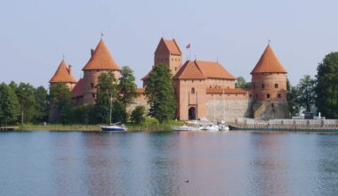 Gyventojus nustebino naujas Trakų turizmo centro logotipas: ar man vaidenasi?
