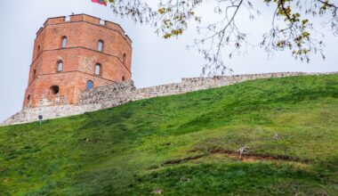 Istorikas teigia radęs naują Lietuvos vardo paminėjimą, datuojamą 451 metais