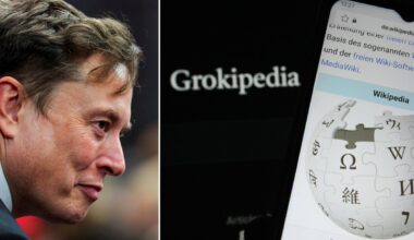 Muskas paskelbė apie naują savo kūrinį, žadantį sudrebinti Vikipediją