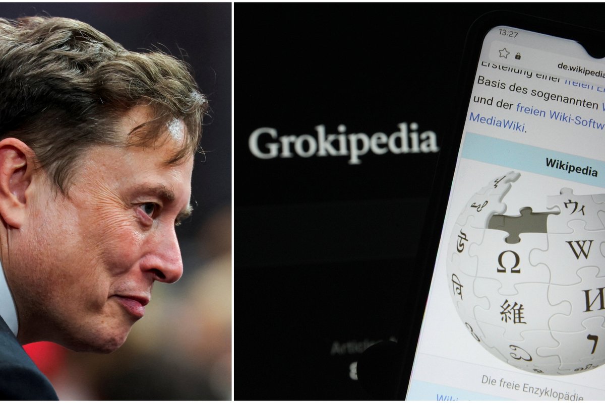 Muskas paskelbė apie naują savo kūrinį, žadantį sudrebinti Vikipediją
