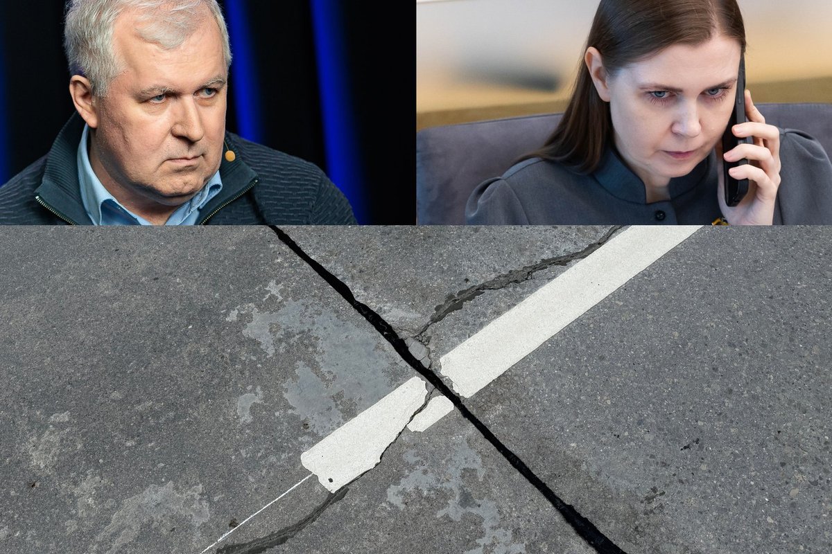 Šakalienė ir Anušauskas susikirto dėl byrančio kelio į poligoną