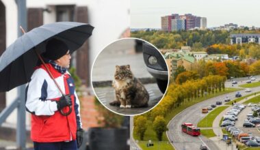 Klimatologas atsakė, ar sulauksime žiemos: tarnybos jau ruošiasi