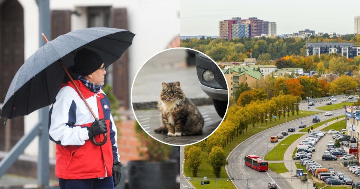 Klimatologas atsakė, ar sulauksime žiemos: tarnybos jau ruošiasi