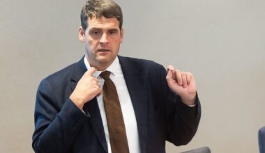 Internete žaibišku greičiu plinta komiška daina apie Remigijų Žemaitaitį