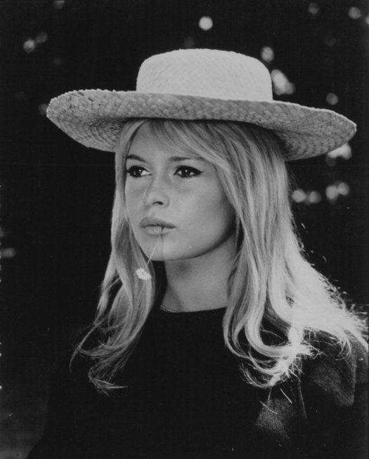 Brigitte Bardot (nuotr. SCANPIX) Brigitte Bardot (nuotr. SCANPIX)
