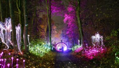VU botanikos sode atidarytas įspūdingas „Lumina“ šviesų parkas