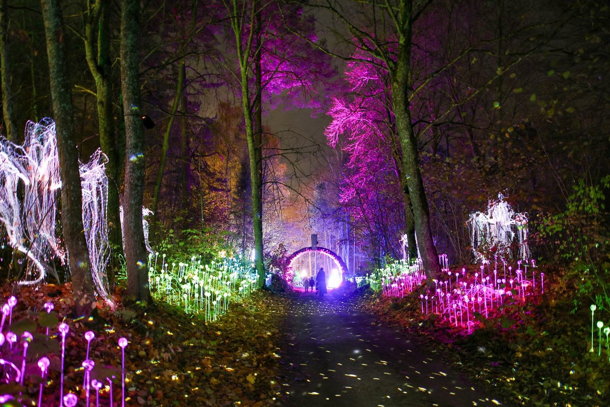 VU botanikos sode atidarytas įspūdingas „Lumina“ šviesų parkas