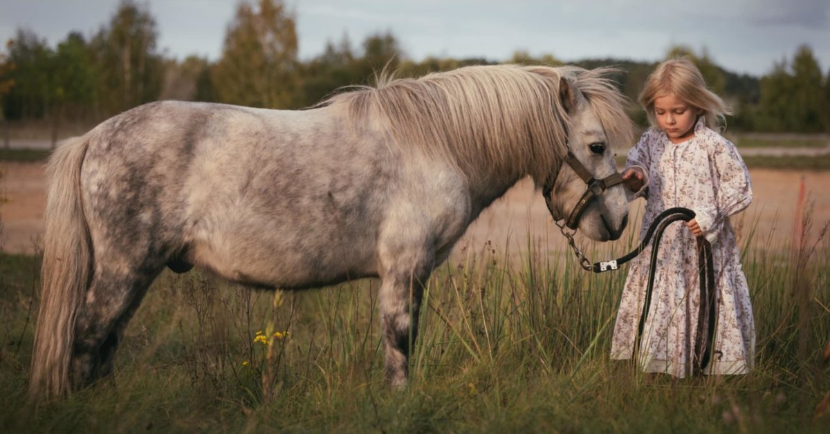 Ugnis pasiglemžė viską: netekusi namų, buvusi kariškė su dukrele prašo padėti išgelbėti žirgus | Gyvenimas