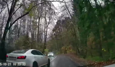 „Prisiskraidė“: paviešintas vaizdo įrašas, kaip Vilniuje „Lexus“ nulėkė nuo kelio į medžius