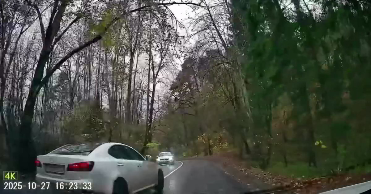 „Prisiskraidė“: paviešintas vaizdo įrašas, kaip Vilniuje „Lexus“ nulėkė nuo kelio į medžius