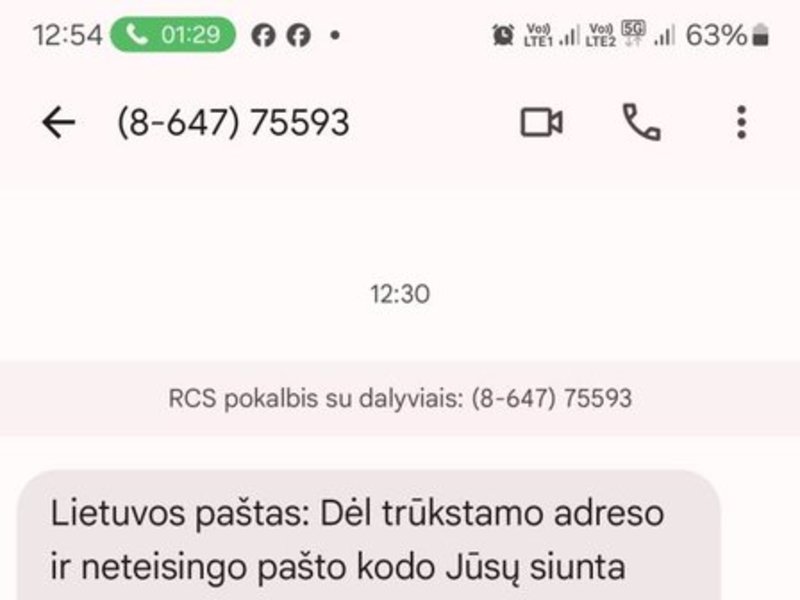 Sukčių žinučių pavyzdžiai (nuotr. Lietuvos paštas)   7