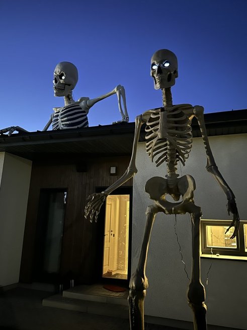 Helovinui papuoštas kiemas (nuotr. asm. archyvo)