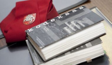 Seimo TTK pritarė, kad ir apysunkiems nusikaltimams būtų galima taikyti kriminalinę žvalgybą