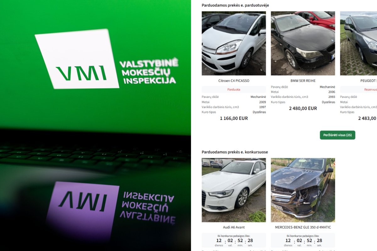 Startuoja VMI elektroninė parduotuvė - Delfi verslas