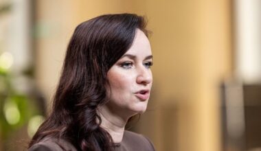 Ruginienė įvardijo, kada būtų panaudota ugnis prieš įsiveržusius rusų naikintuvus