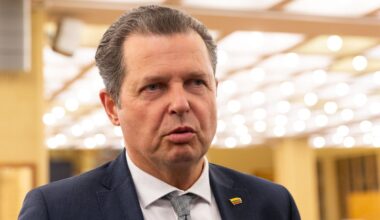 Sinicą Seimo gynybos komitete pakeis aušrietis Gedvilas