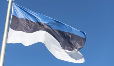 Netoli Estijos karinės bazės numuštas dronas