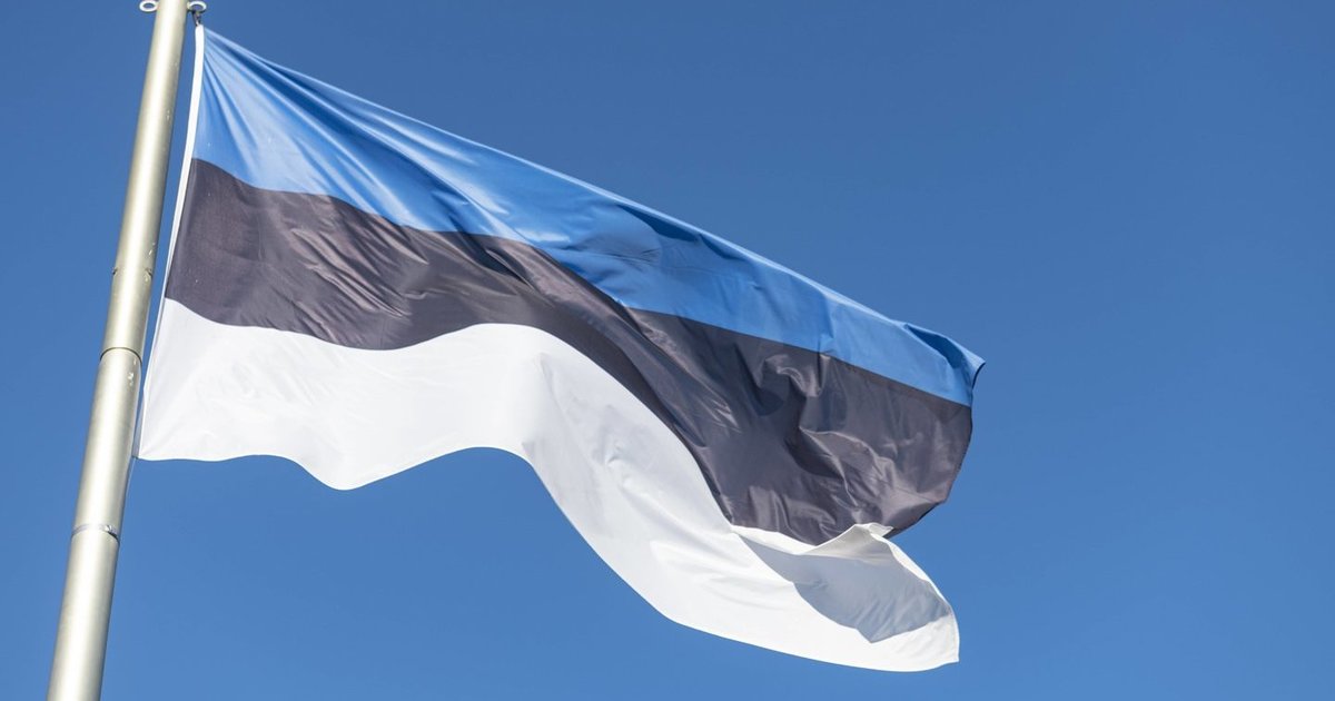 Netoli Estijos karinės bazės numuštas dronas