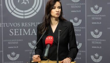Premjerė: jeigu ministrė neteiks partnerystės projekto, tai bus pateikta kitaip