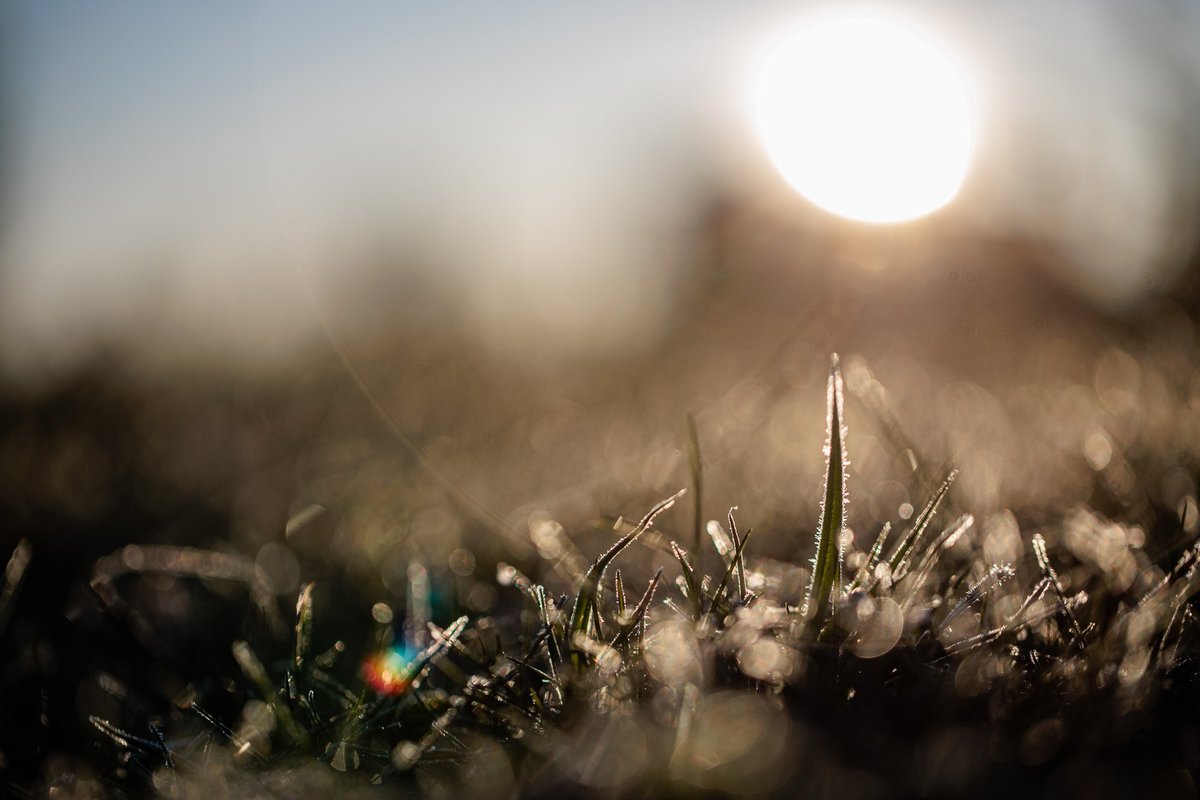 Šalnos trauksis, sugrįš rudeniškas lietus