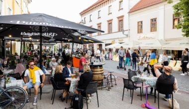Vilniaus senamiesčio prieinamumas: iššūkiai judėjimo negalią turintiems žmonėms